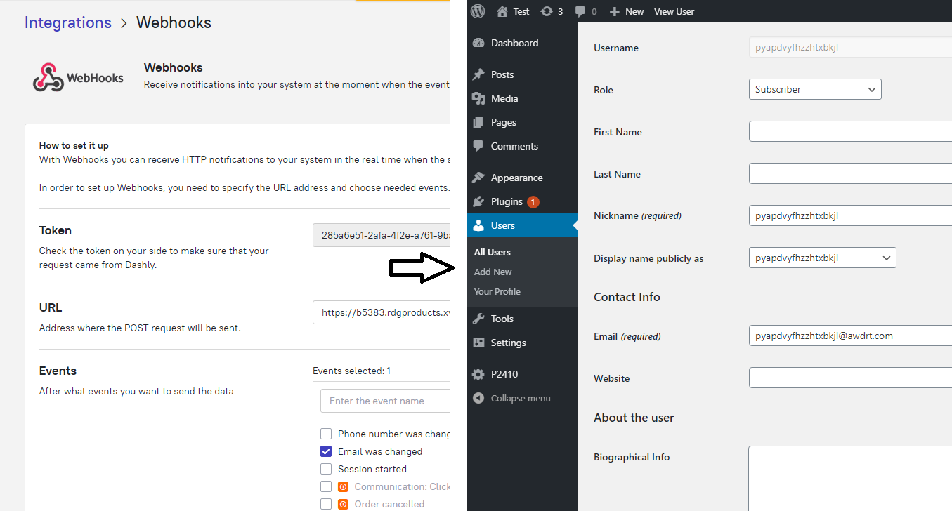 Webhook från Dashly aktiverar automatisk WordPress-kontoskapande – testanvändare genererad vid e-postinlämning i chatbot.